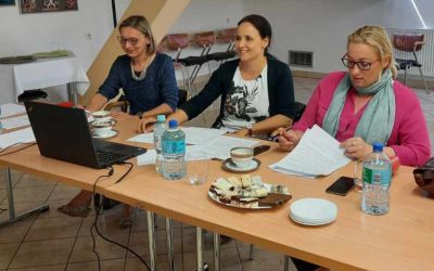 Komunikat z posiedzenia komisji Wojewódzkiego Ekologicznego Przeglądu Tanecznego „O czym szumią drzewa” Zamość 2021 – edycja online