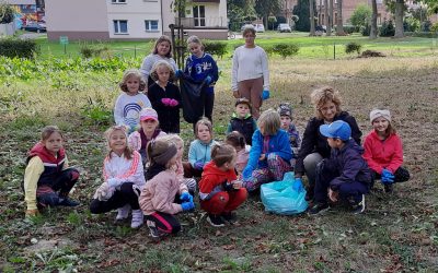 Dbamy o nasze otoczenie…