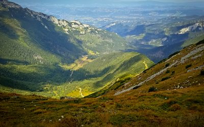 Prace Weroniki i Zofii prezentowane w Galerii Wieszak II LO w Zamościu