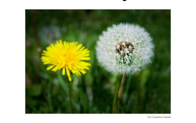 Inspiracje wiosną w Galerii POZYTYW