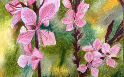 Pierwsze sukcesy w tym roku…