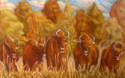 Ogólnopolskie sukcesy naszych wychowanków