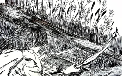 Praca Oliwii wyróżniona